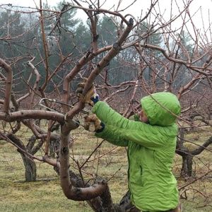 Soooo many lovely hand-picked things.